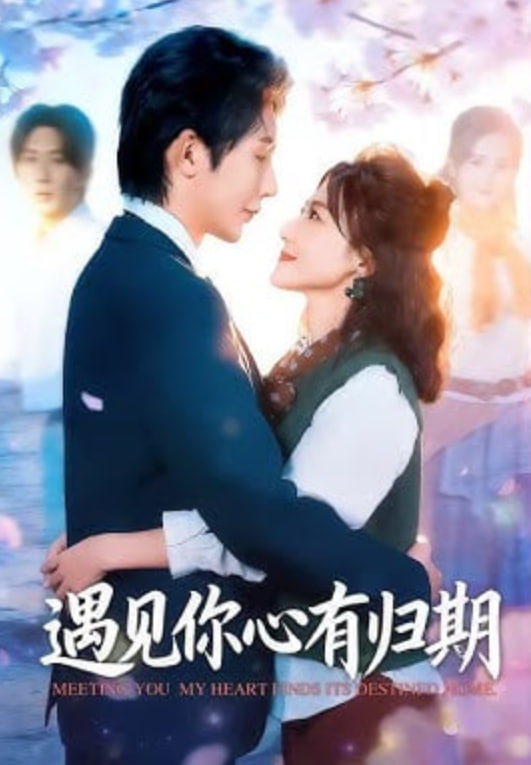 遇见你心有归期(全集)