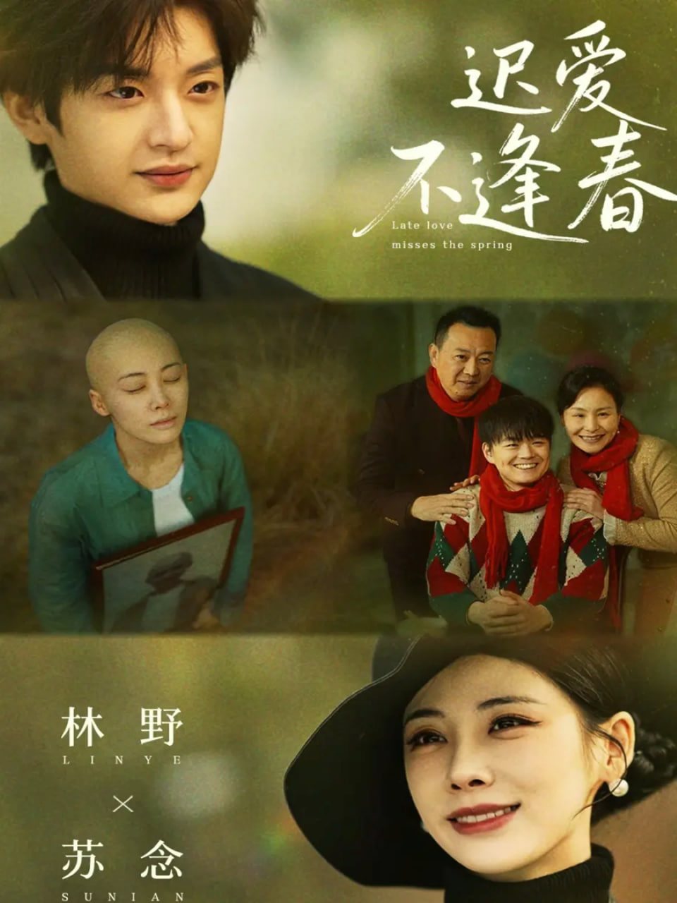 迟爱不逢春(全集)