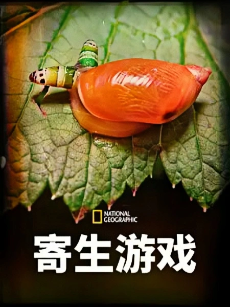 寄生游戏 第一季 英文版(全集)