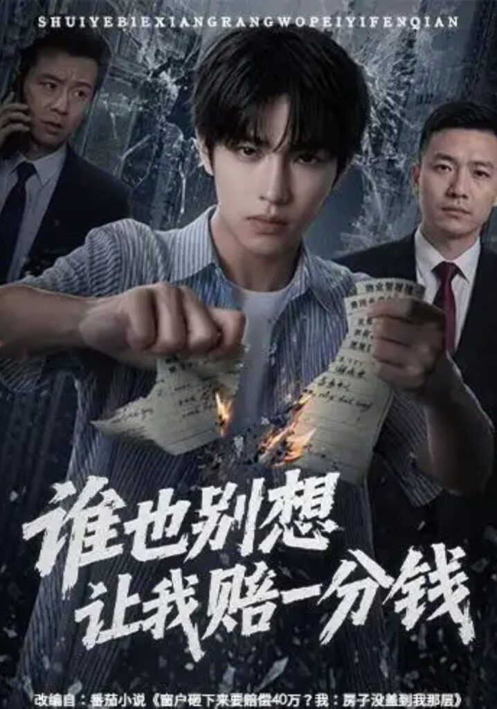 谁也别想让我赔一分钱(全集)