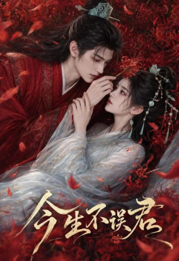 今生不误君(全集)